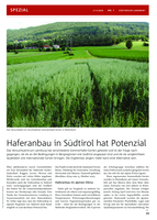 Haferanbau in Südtirol hat Potenzial