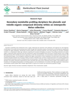 Secondary metabolite profiling deciphers the phenolic and volatile organic compound diversity within an interspecific Malus collection