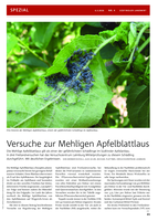 Versuche zur Mehligen Apfelblattlaus