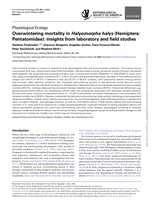 Overwintering mortality in Halyomorpha halys (Hemiptera: Pentatomidae): insights from laboratory and field studies