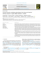 Corymb hierarchy modulates physiological fruit drop and chemical thinning response in apple (Malus domestica L. Borkh)