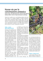 Nuove vie per la concimazione potassica