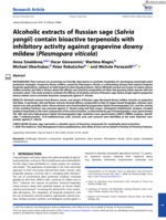 Alcoholic extracts of Russian sage (Salvia yangii) contain bioactive terpenoids with inhibitory activity against grapevine downy mildew (Plasmopara viticola)
