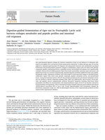 Digestion-guided fermentation of tiger nut by Fructophilic Lactic acid bacteria reshapes metabolite and peptide profiles and intestinal cell responses