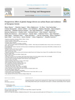 Perspectives: Effect of global change drivers on carbon fluxes and resilience of European forests