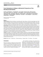 From Colonization to Collapse: a Mechanistic Perspective on Tree Mortality by Bark Beetles
