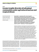 Greater trophic diversity of soil animal communities under agricultural land use and tropical climate