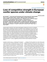 Loss of competitive strength in European conifer species under climate change