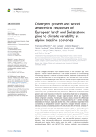 Divergent growth and wood anatomical responses of European larch and Swiss stone pine to climate variability at alpine treeline ecotones